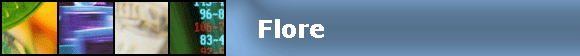 Flore